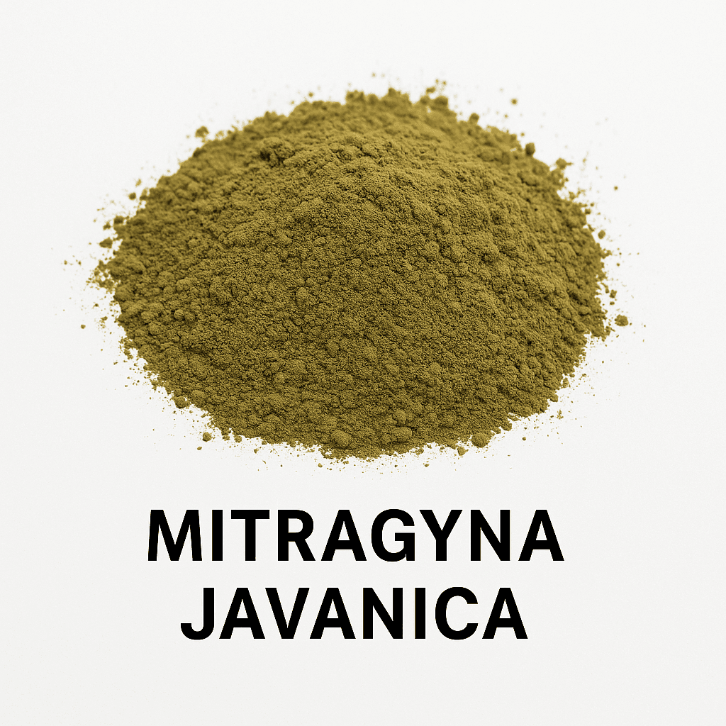 Mitragyna Javanica leaf powder, a legal kratom alternative