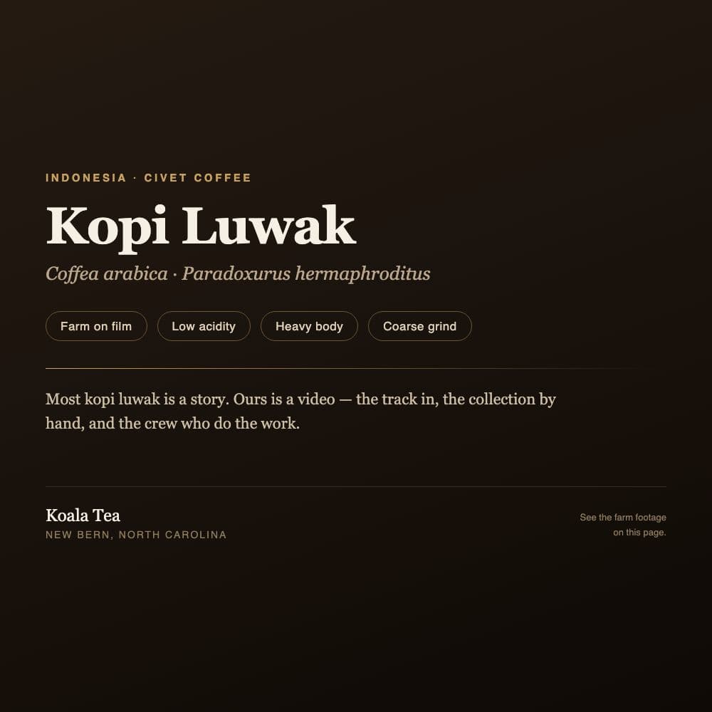 Kopi Luwak Coffee