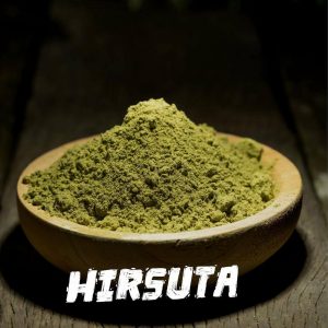 Hirsuta