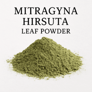 Mitragyna HirsutaMitragyna Hirsuta
